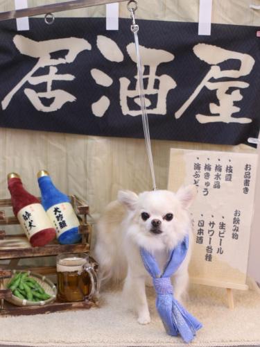 20240611りゅうくん